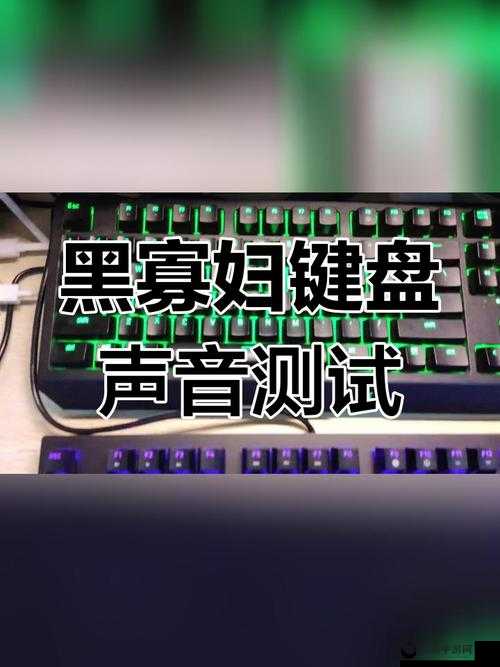 黑寡妇 V3 有线和无线区别：二者在功能与使用体验上的差异对比