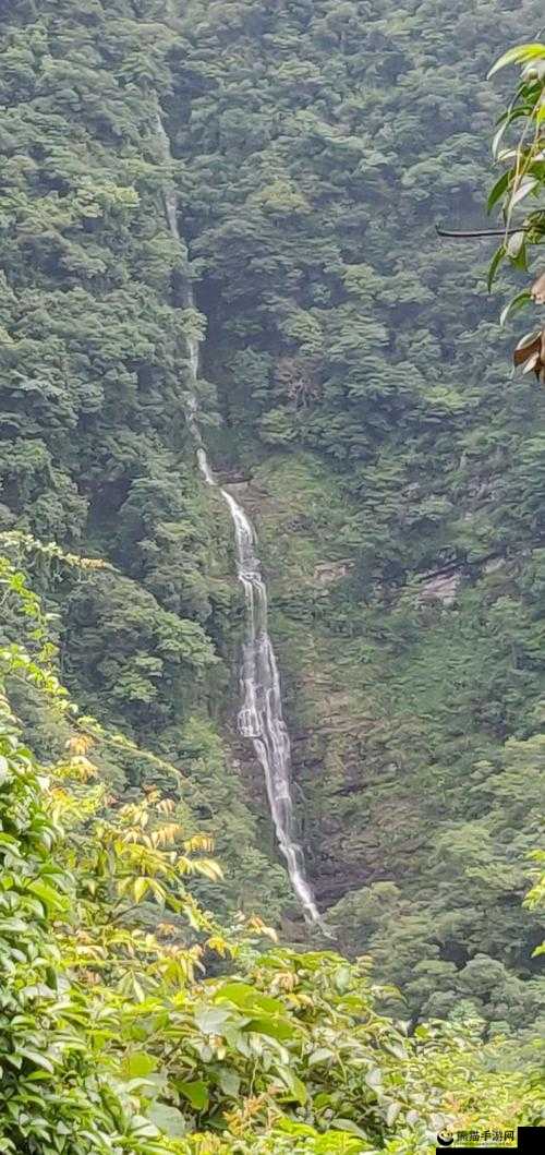 模拟江湖深度攻略，十万大山触发条件详解与全面通关指南